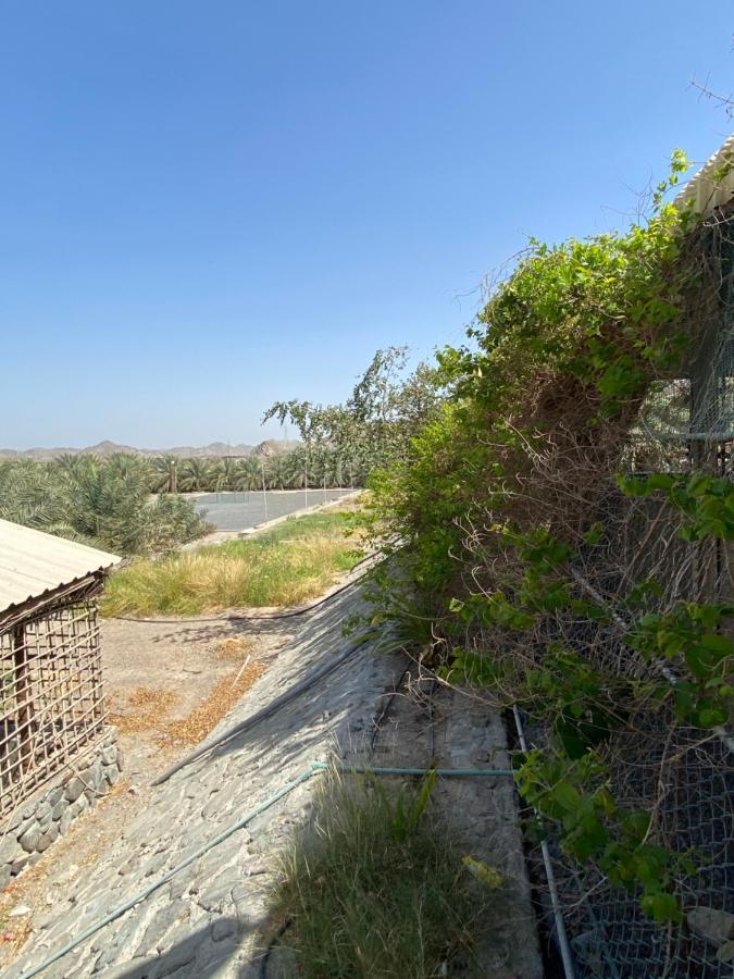 Uae Farm Villa Qur Exterior foto